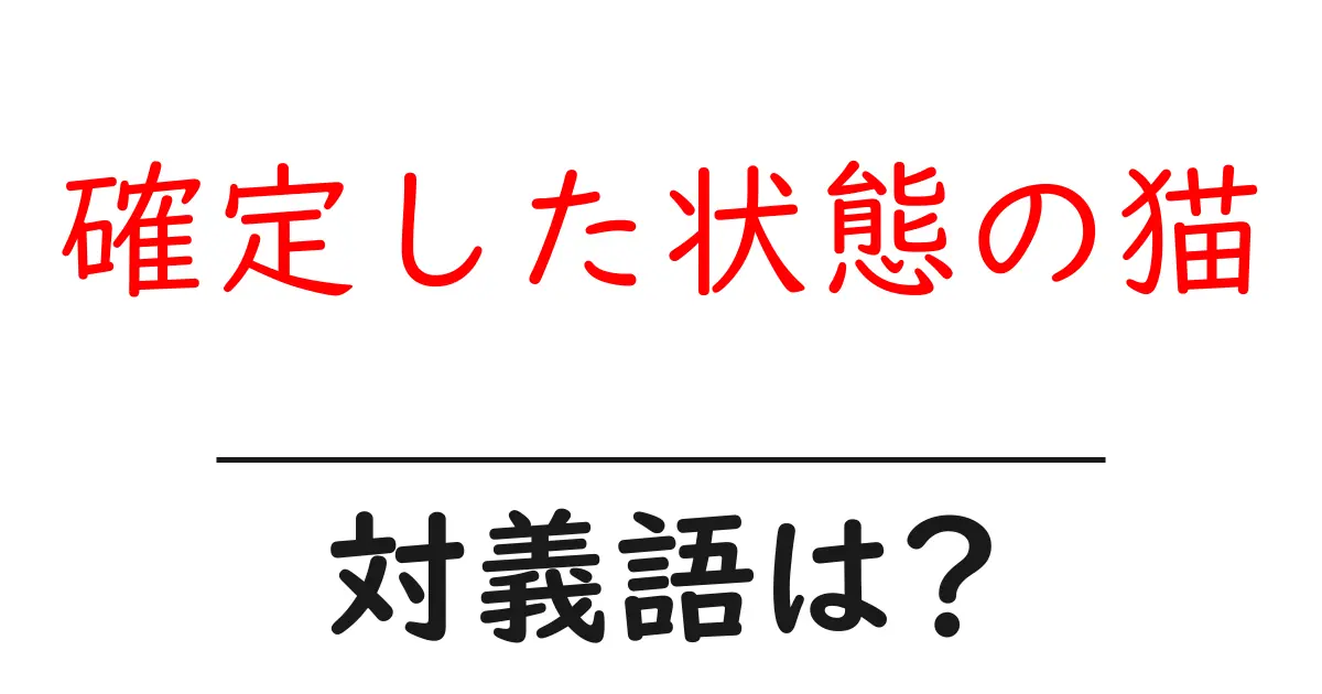 確定した状態の猫の対義語・反対語を使用例を交えて分かりやすく解説!