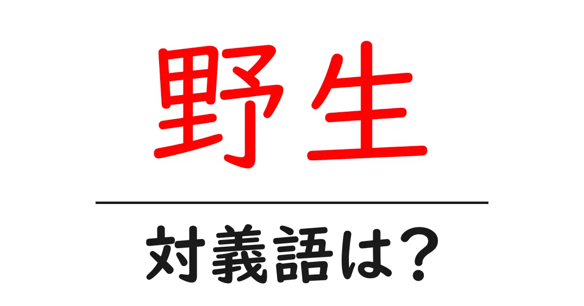 野生の対義語・反対語を使用例を交えて分かりやすく解説!