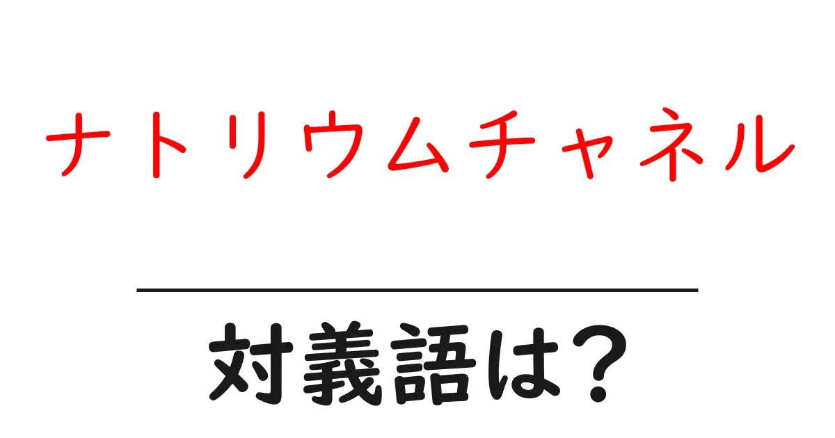 ナトリウムチャネルの対義語・反対語を使用例を交えて分かりやすく解説!
