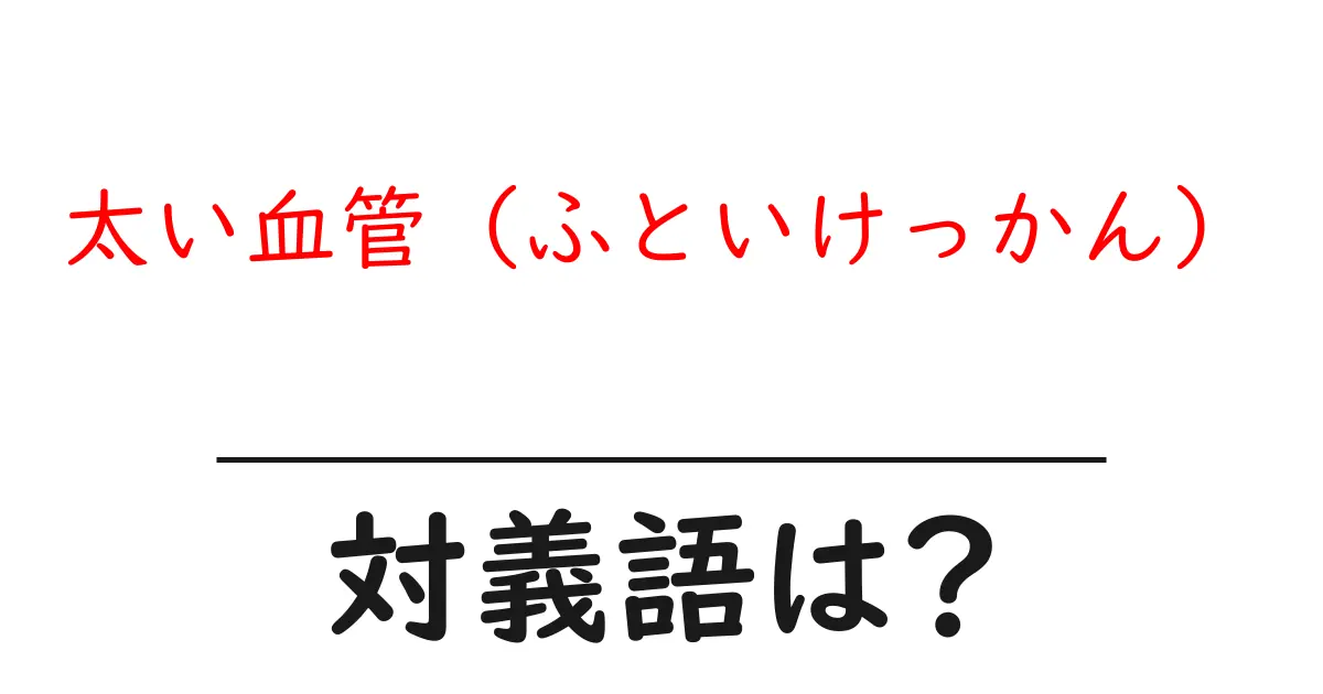太い血管(ふといけっかん)の対義語・反対語を使用例を交えて分かりやすく解説!