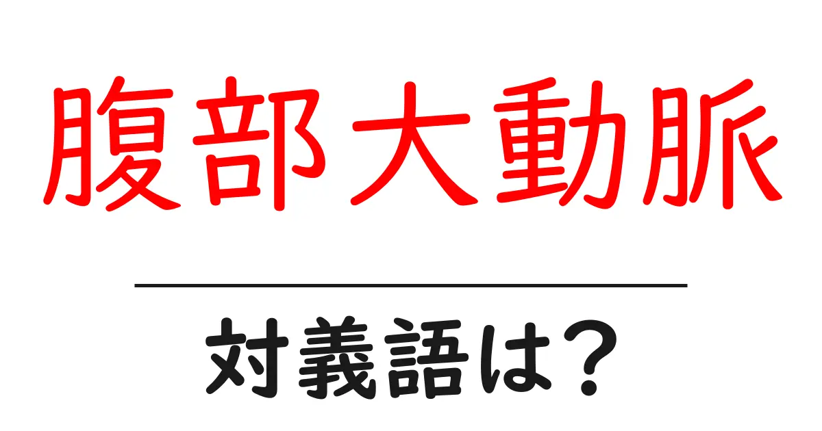 腹部大動脈の対義語・反対語を使用例を交えて分かりやすく解説！