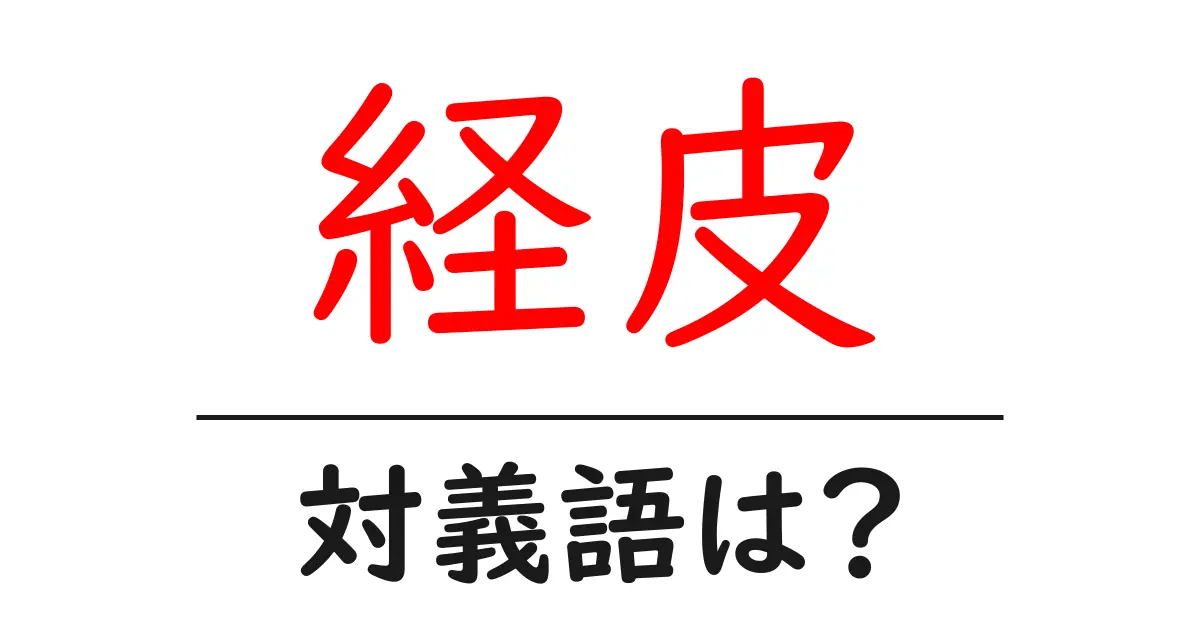 経皮の対義語・反対語を使用例を交えて分かりやすく解説！
