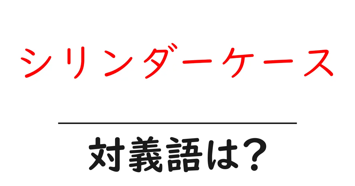 シリンダーケースの対義語・反対語を使用例を交えて分かりやすく解説!