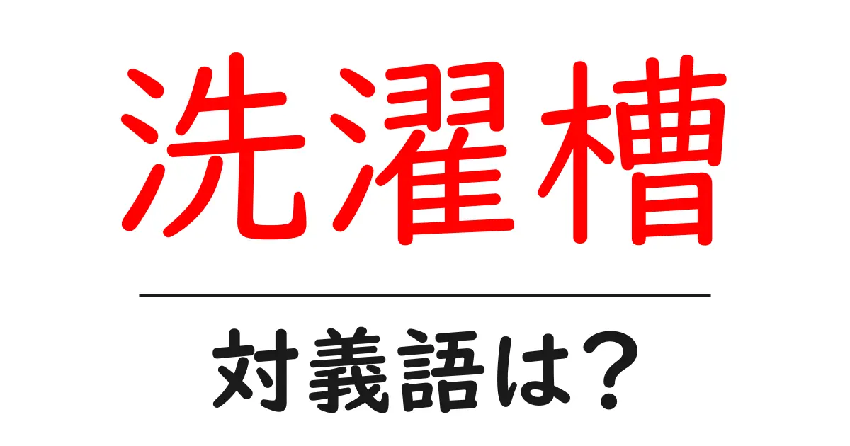 洗濯槽の対義語・反対語を使用例を交えて分かりやすく解説！