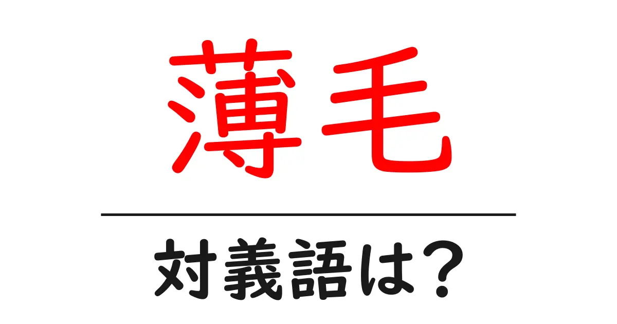 薄毛の対義語・反対語を使用例を交えて分かりやすく解説!