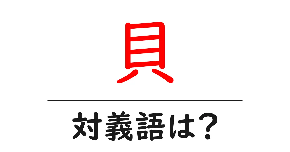 貝の対義語・反対語を使用例を交えて分かりやすく解説!