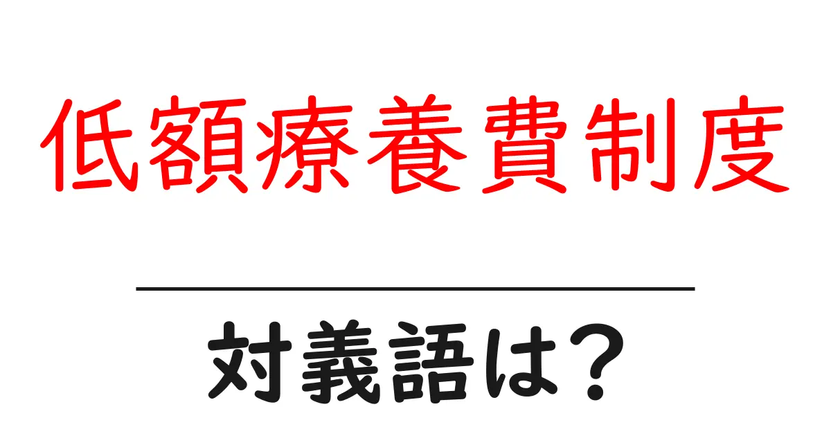 低額療養費制度の対義語・反対語を使用例を交えて分かりやすく解説!