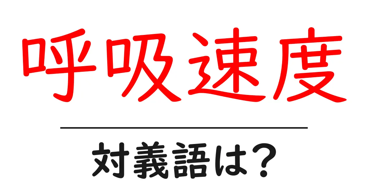 呼吸速度の対義語・反対語を使用例を交えて分かりやすく解説!