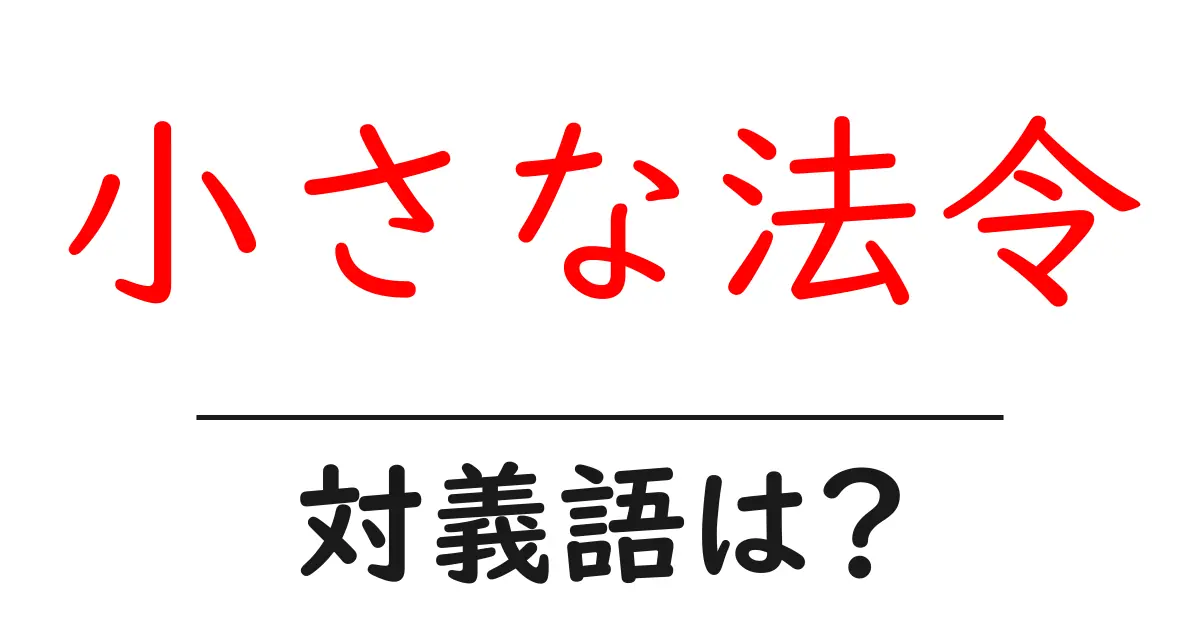 小さな法令の対義語・反対語を使用例を交えて分かりやすく解説!