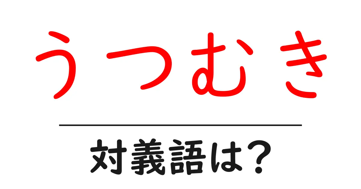 うつむきの対義語・反対語を使用例を交えて分かりやすく解説!