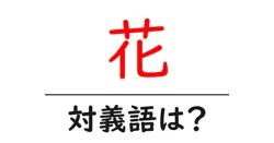 花の対義語・反対語を使用例を交えて分かりやすく解説！