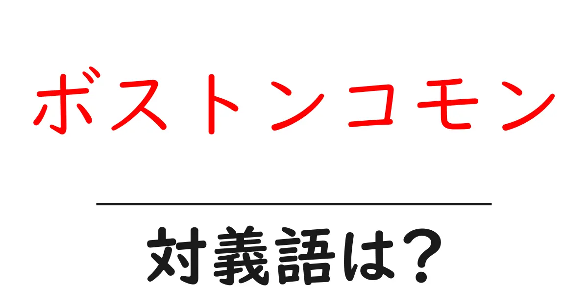ボストンコモンの対義語・反対語を使用例を交えて分かりやすく解説！