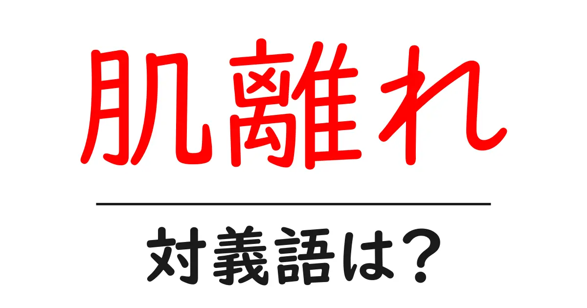 肌離れの対義語・反対語を使用例を交えて分かりやすく解説!