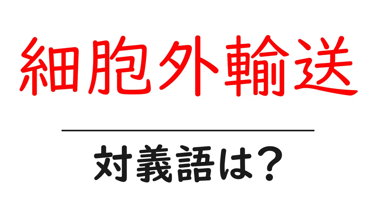 細胞外輸送の対義語・反対語を使用例を交えて分かりやすく解説！