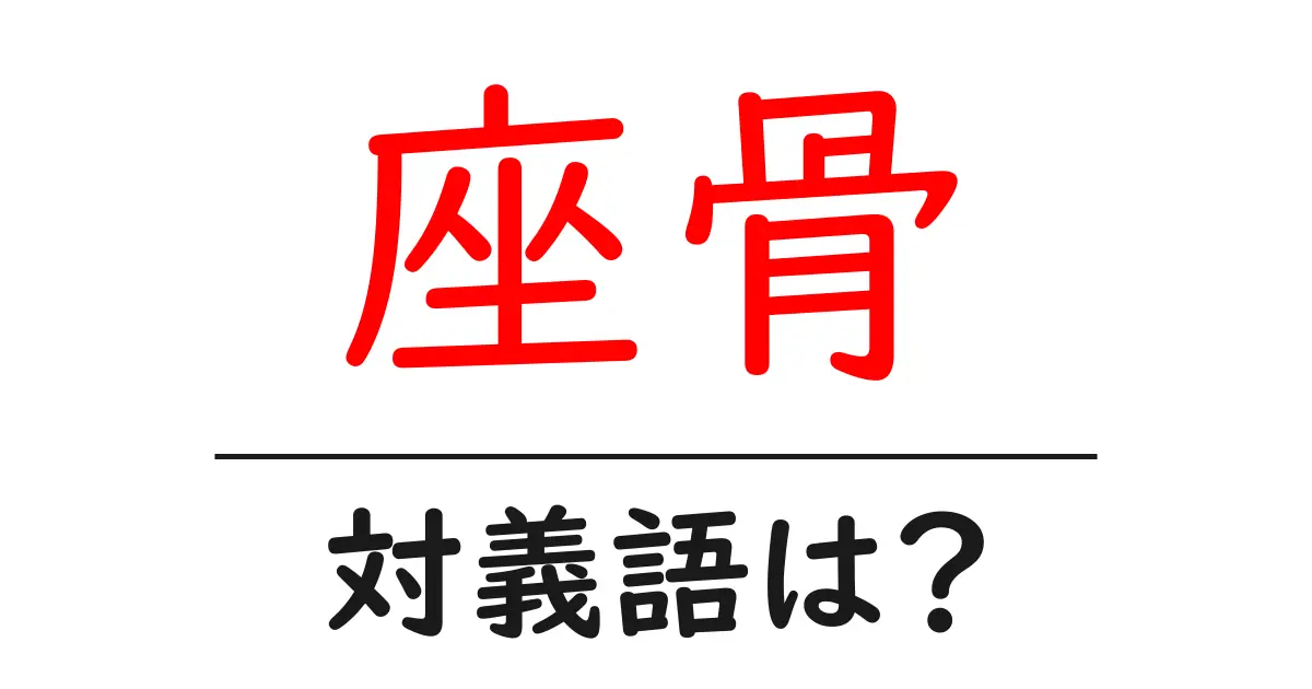 座骨の対義語・反対語を使用例を交えて分かりやすく解説!