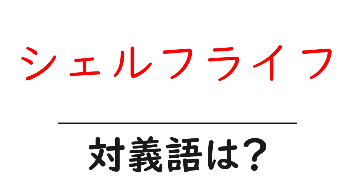 シェルフライフの対義語・反対語を使用例を交えて分かりやすく解説!