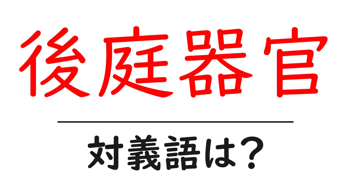 後庭器官の対義語・反対語を使用例を交えて分かりやすく解説!