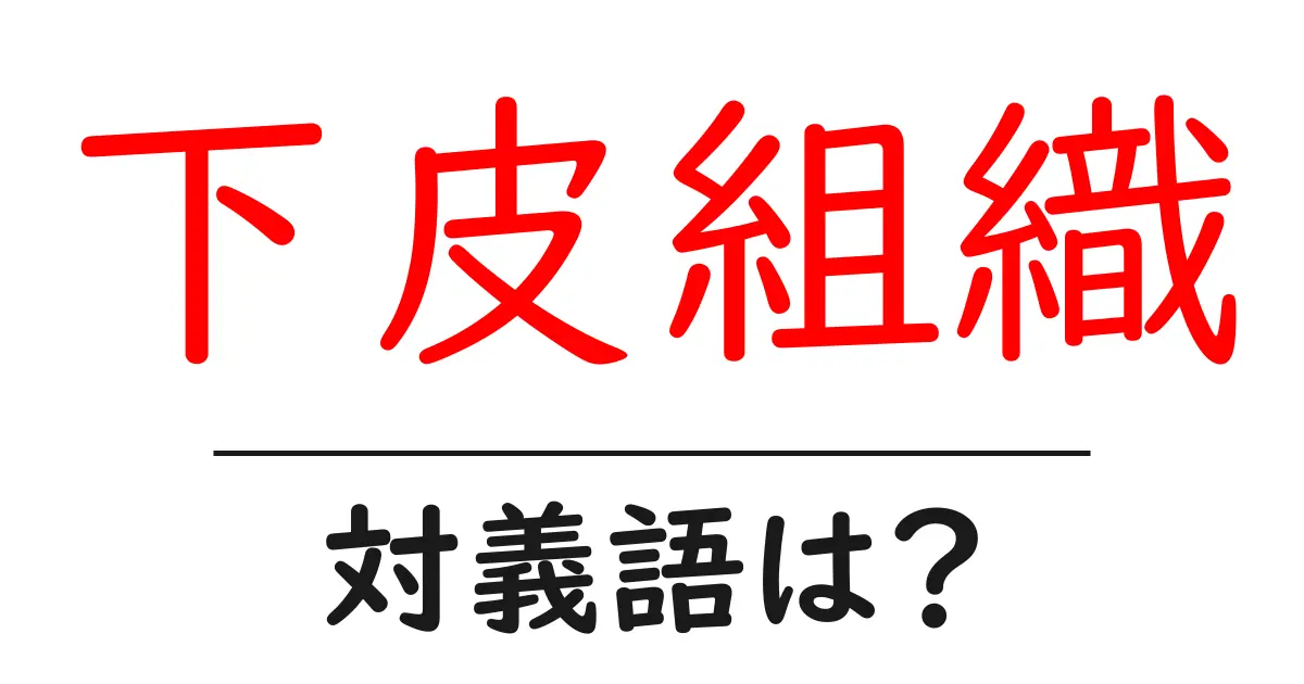 下皮組織の対義語・反対語を使用例を交えて分かりやすく解説!