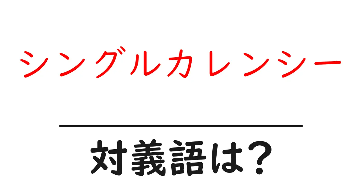 シングルカレンシーの対義語・反対語を使用例を交えて分かりやすく解説!