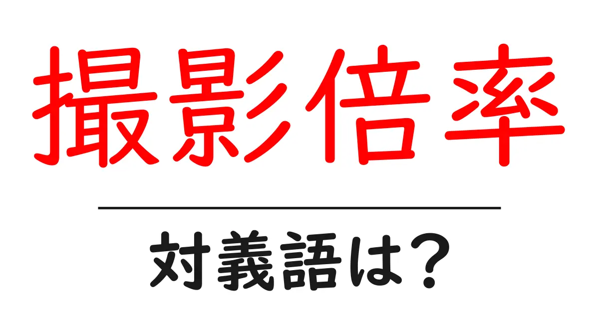撮影倍率の対義語・反対語を使用例を交えて分かりやすく解説!