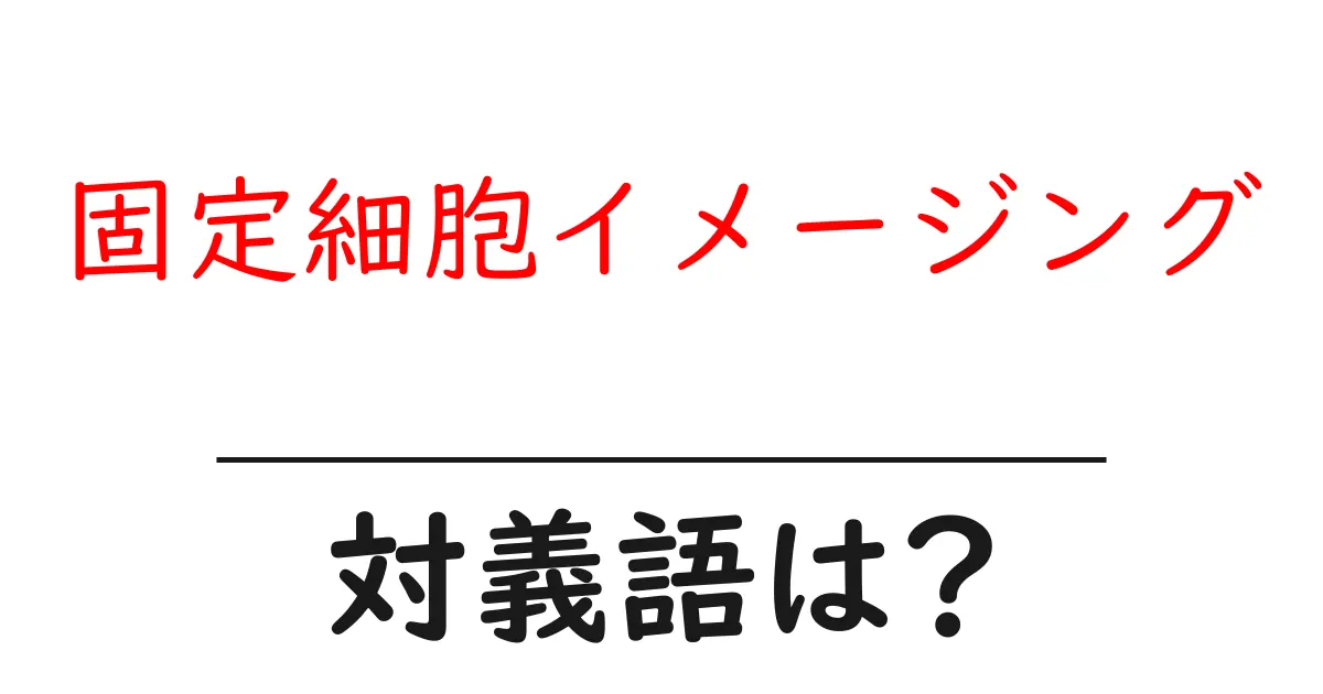 固定細胞イメージングの対義語・反対語を使用例を交えて分かりやすく解説!