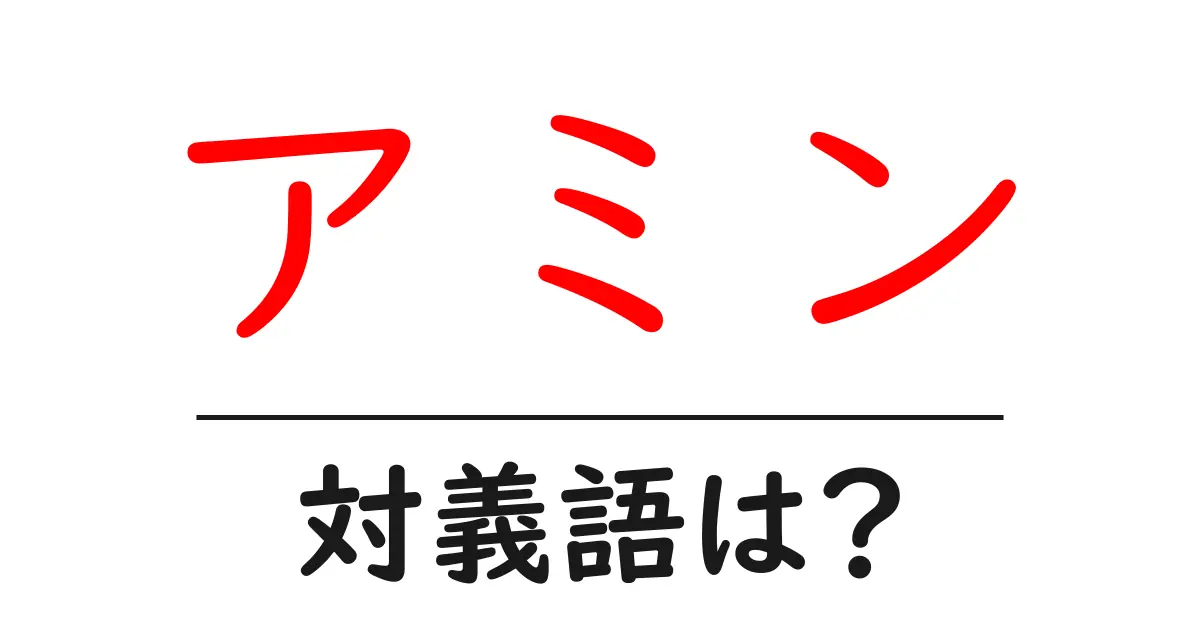アミンの対義語・反対語を使用例を交えて分かりやすく解説！
