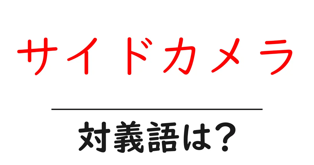 サイドカメラの対義語・反対語を使用例を交えて分かりやすく解説!