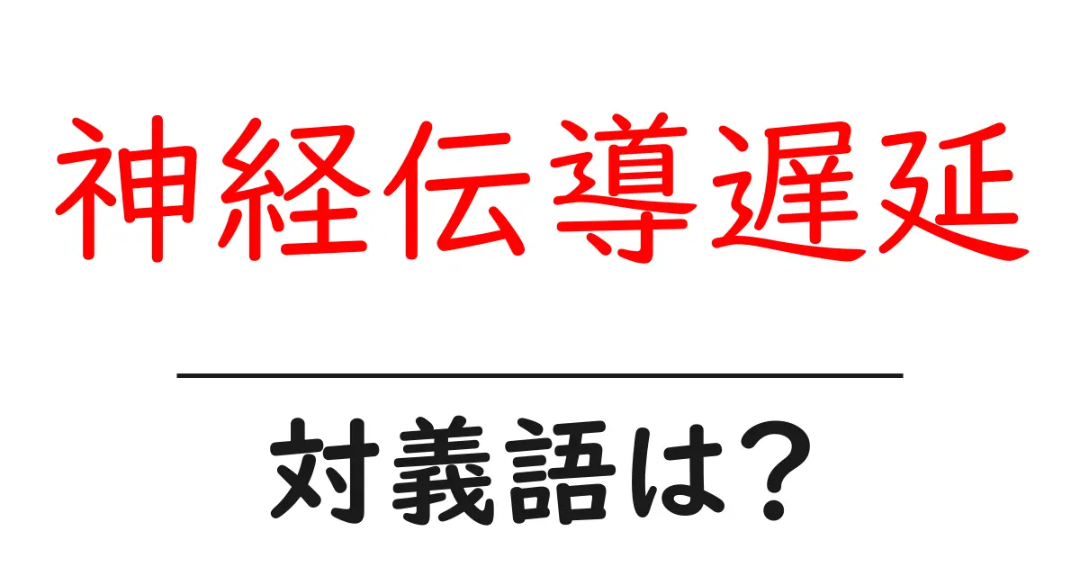 神経伝導遅延の対義語・反対語を使用例を交えて分かりやすく解説!