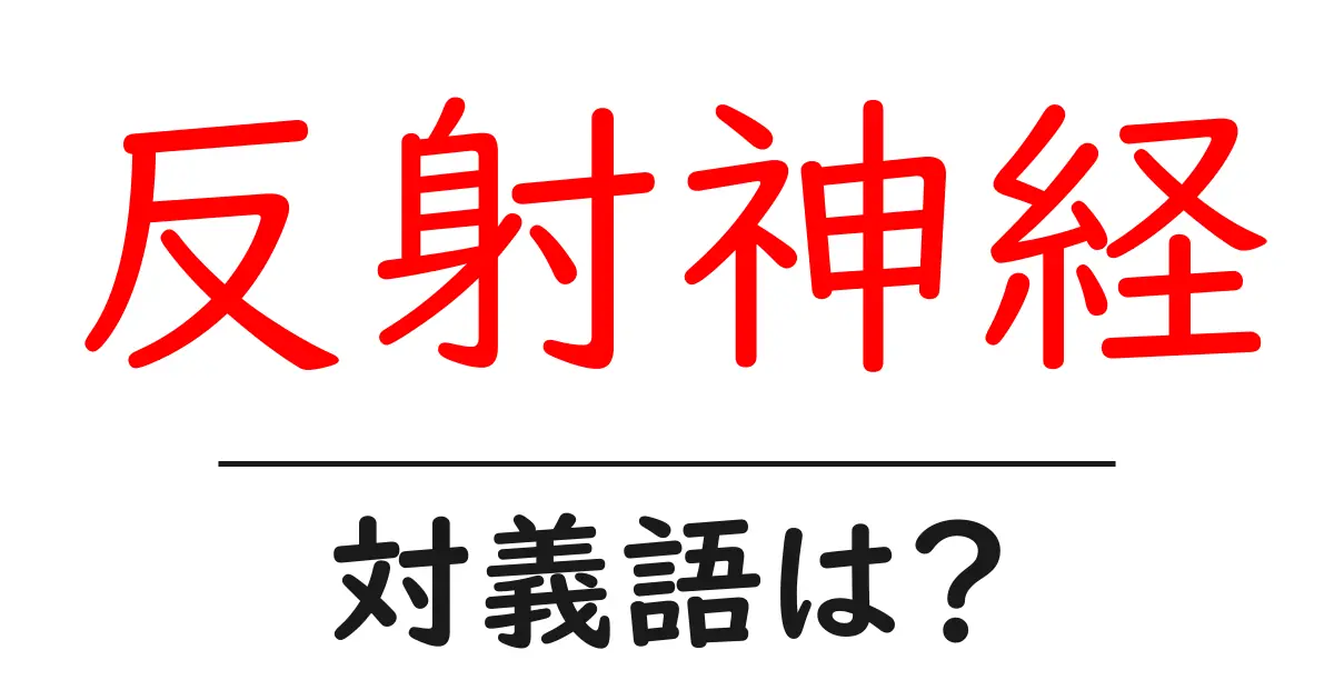 反射神経の対義語・反対語を使用例を交えて分かりやすく解説!