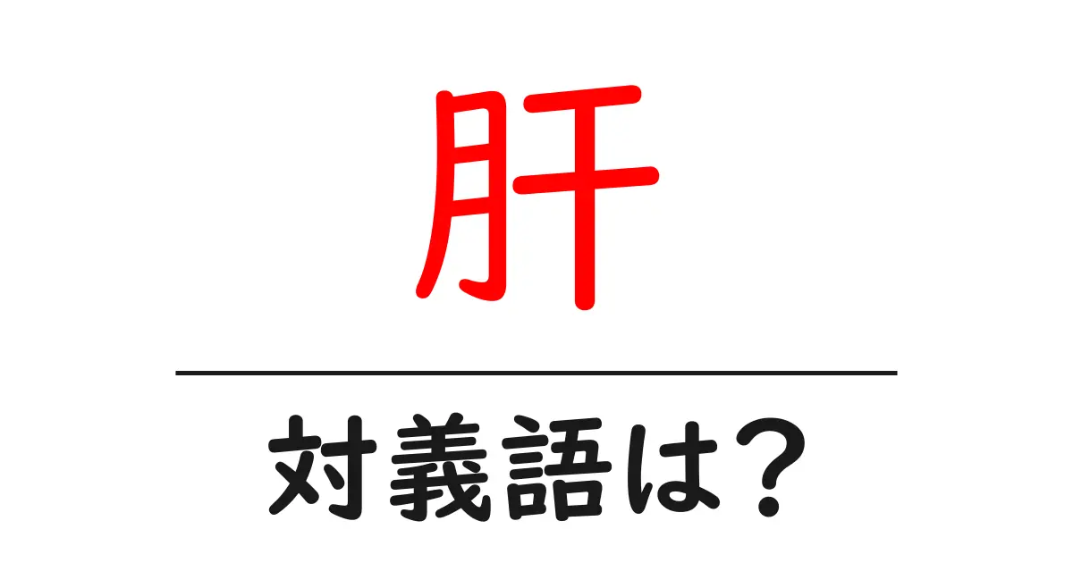 肝の対義語・反対語を使用例を交えて分かりやすく解説！