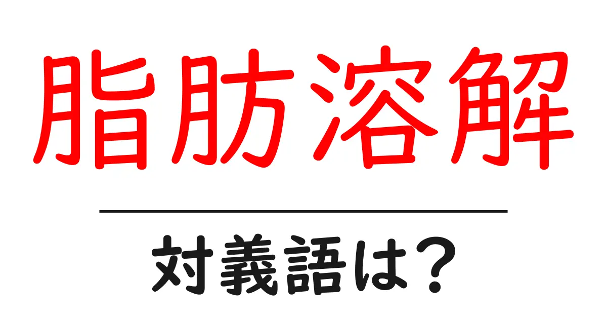 脂肪溶解の対義語・反対語を使用例を交えて分かりやすく解説!