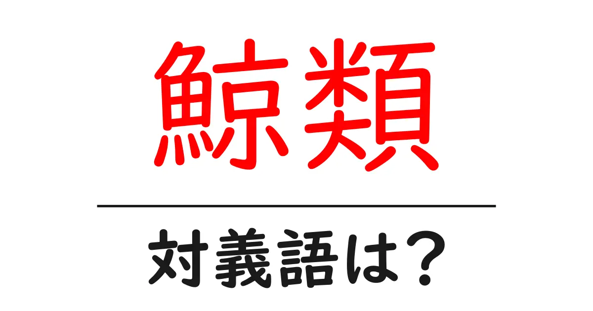 鯨類の対義語・反対語を使用例を交えて分かりやすく解説!