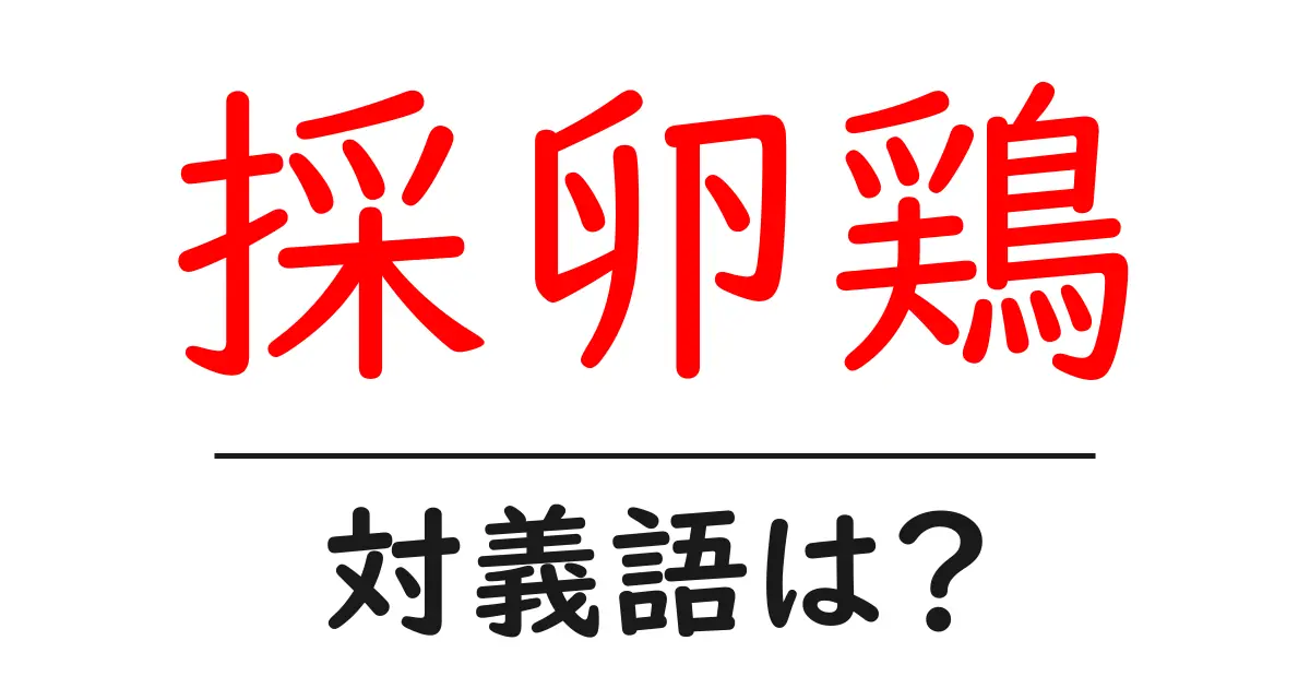 採卵鶏の対義語・反対語を使用例を交えて分かりやすく解説!