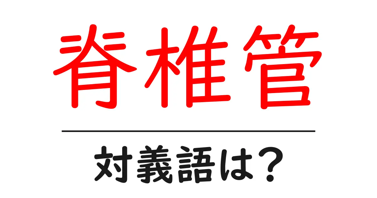 脊椎管の対義語・反対語を使用例を交えて分かりやすく解説!