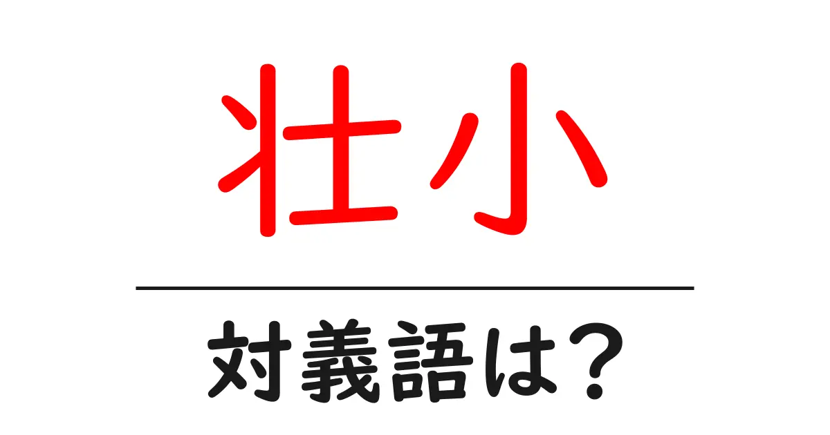 壮小の対義語・反対語を使用例を交えて分かりやすく解説！