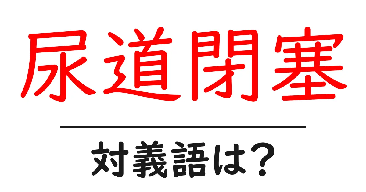 尿道閉塞の対義語・反対語を使用例を交えて分かりやすく解説!