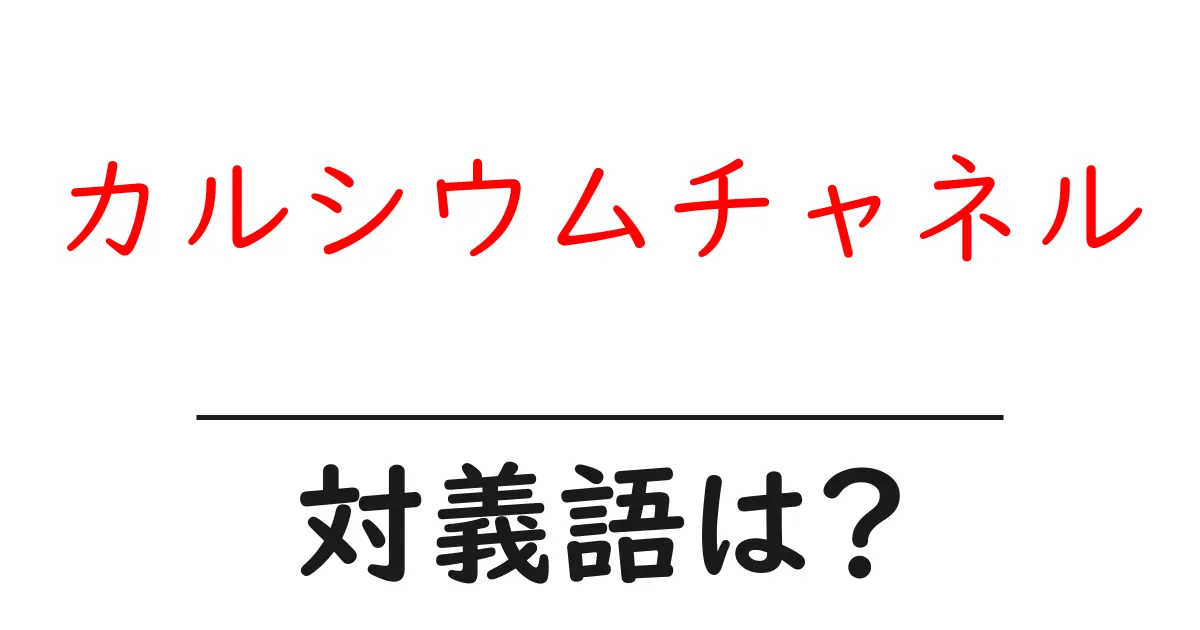 カルシウムチャネルの対義語・反対語を使用例を交えて分かりやすく解説!