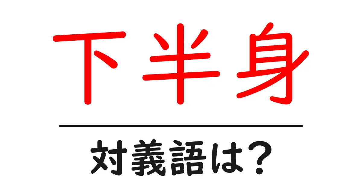下半身の対義語・反対語を使用例を交えて分かりやすく解説!