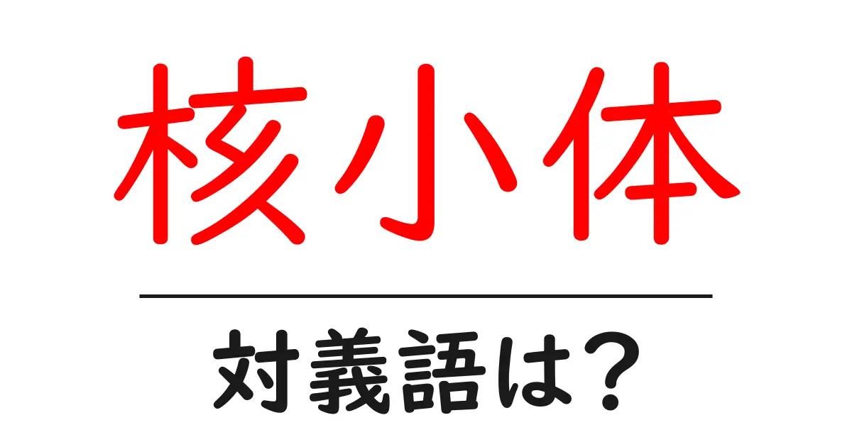 核小体の対義語・反対語を使用例を交えて分かりやすく解説!
