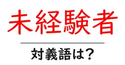 未経験者の対義語・反対語を使用例を交えて分かりやすく解説！