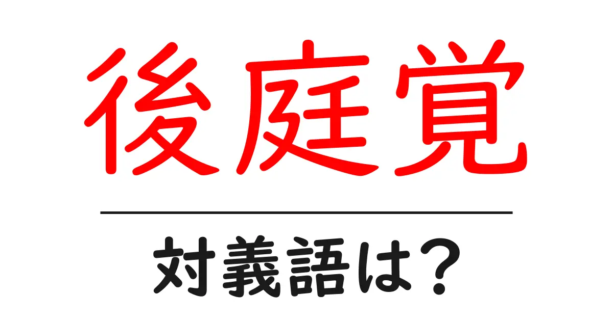 後庭覚の対義語・反対語を使用例を交えて分かりやすく解説!