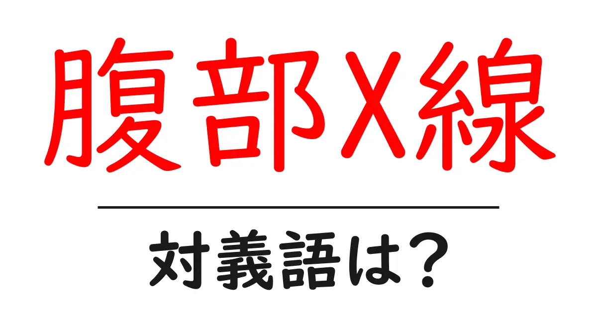 腹部X線の対義語・反対語を使用例を交えて分かりやすく解説！