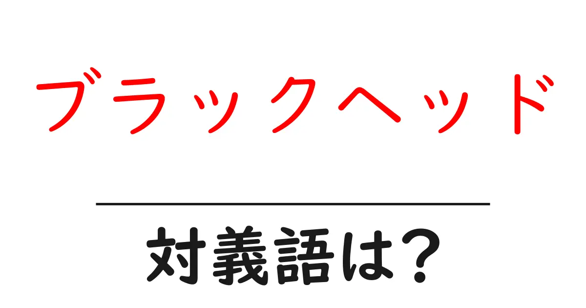 ブラックヘッドの対義語・反対語を使用例を交えて分かりやすく解説!