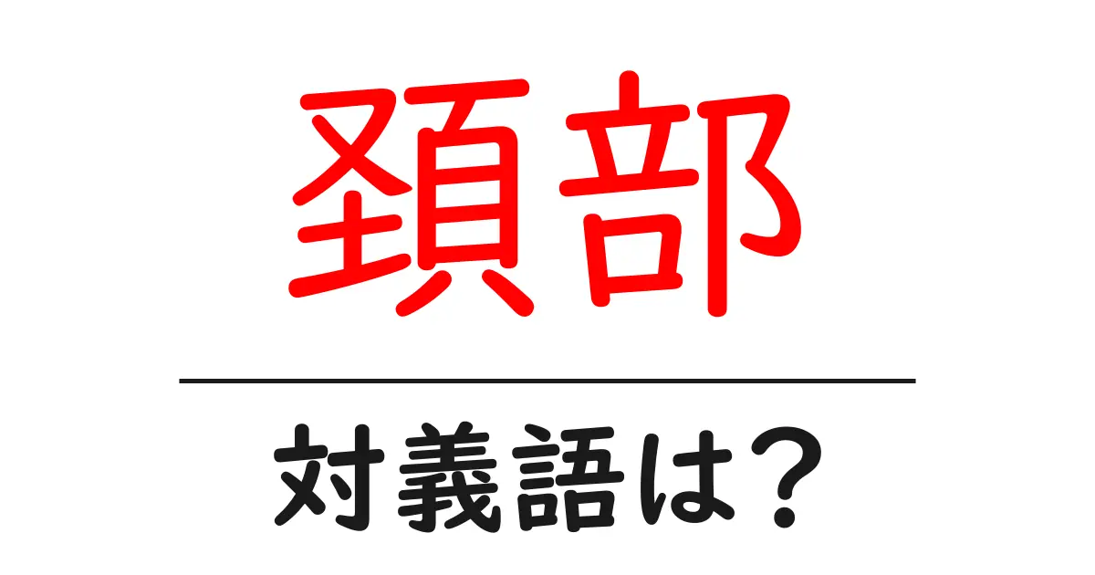 頚部の対義語・反対語を使用例を交えて分かりやすく解説!