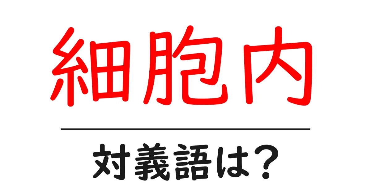 細胞内の対義語・反対語を使用例を交えて分かりやすく解説！