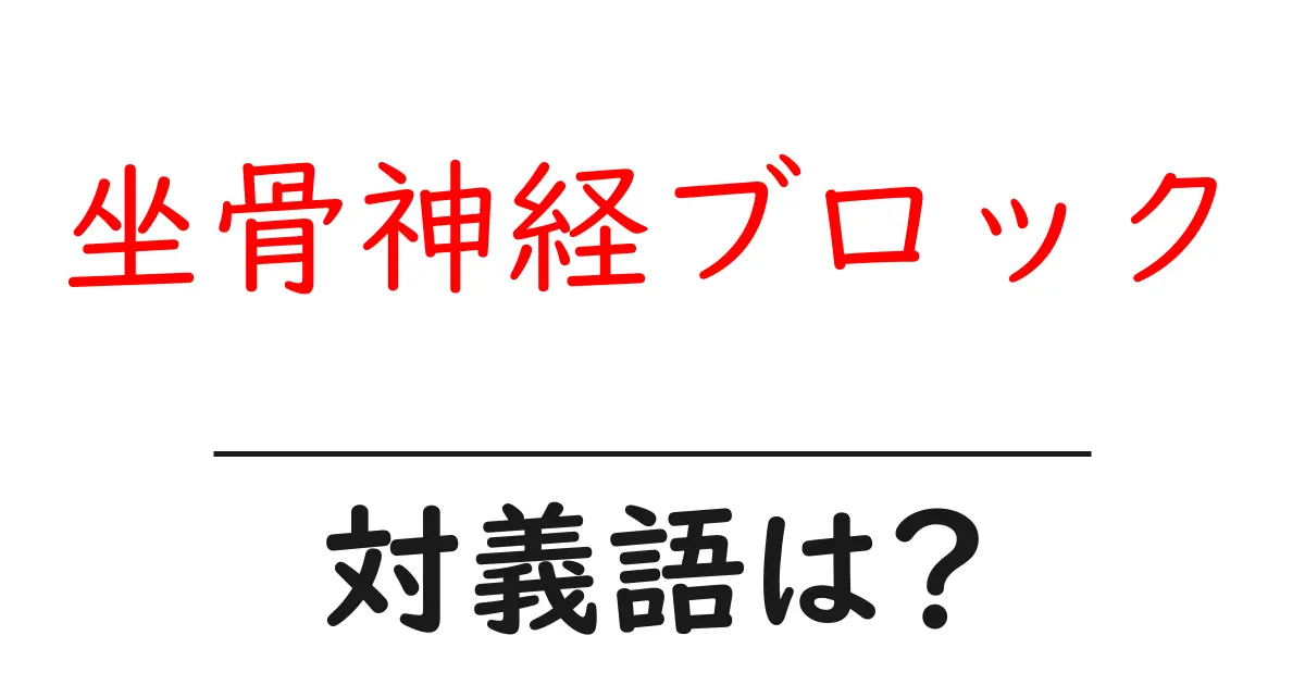 坐骨神経ブロックの対義語・反対語を使用例を交えて分かりやすく解説!