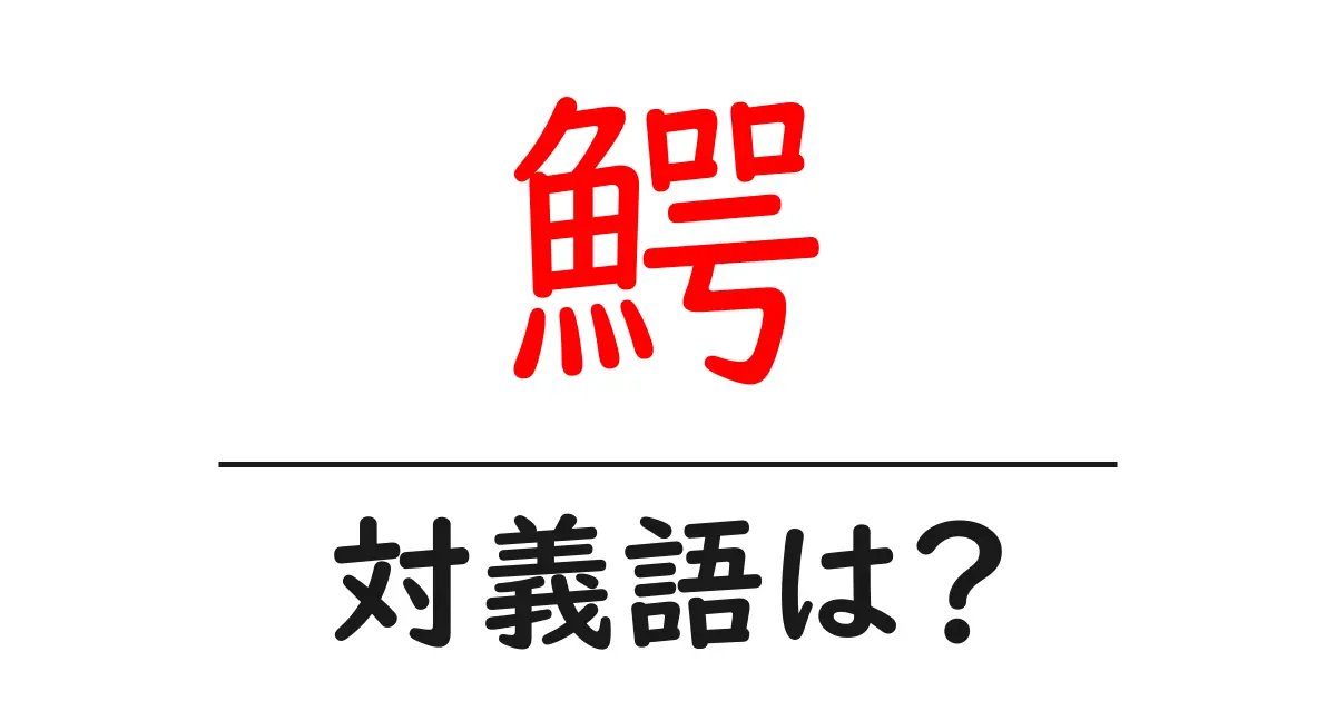 鰐の対義語・反対語を使用例を交えて分かりやすく解説!