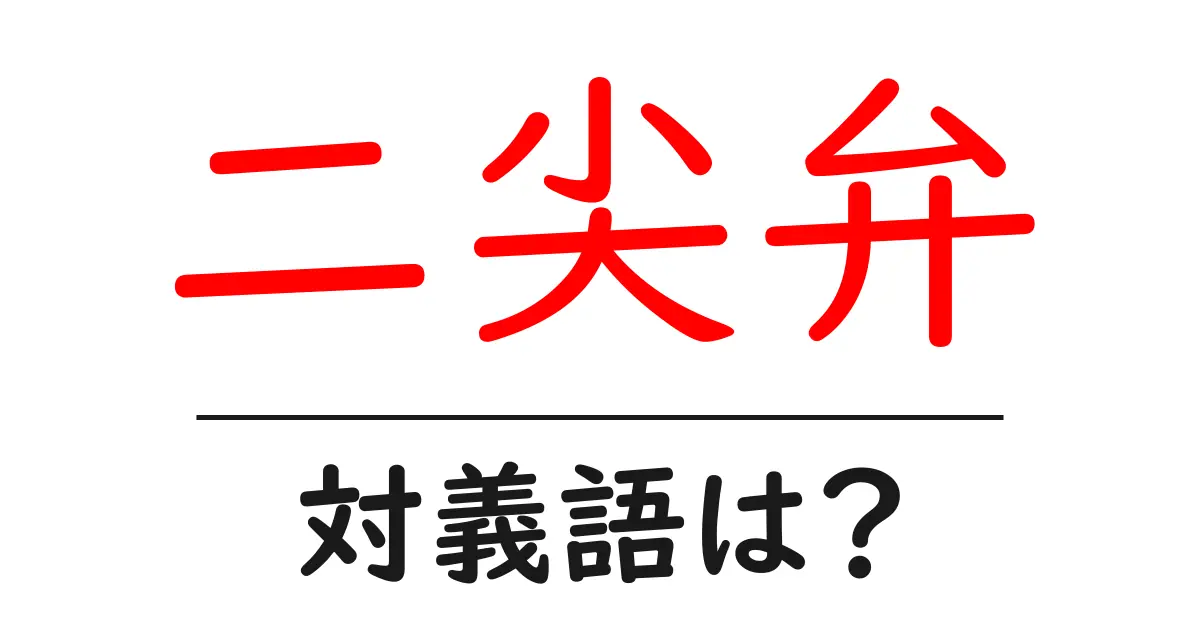二尖弁の対義語・反対語を使用例を交えて分かりやすく解説!
