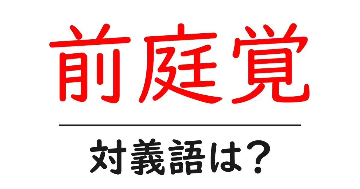 前庭覚の対義語・反対語を使用例を交えて分かりやすく解説!