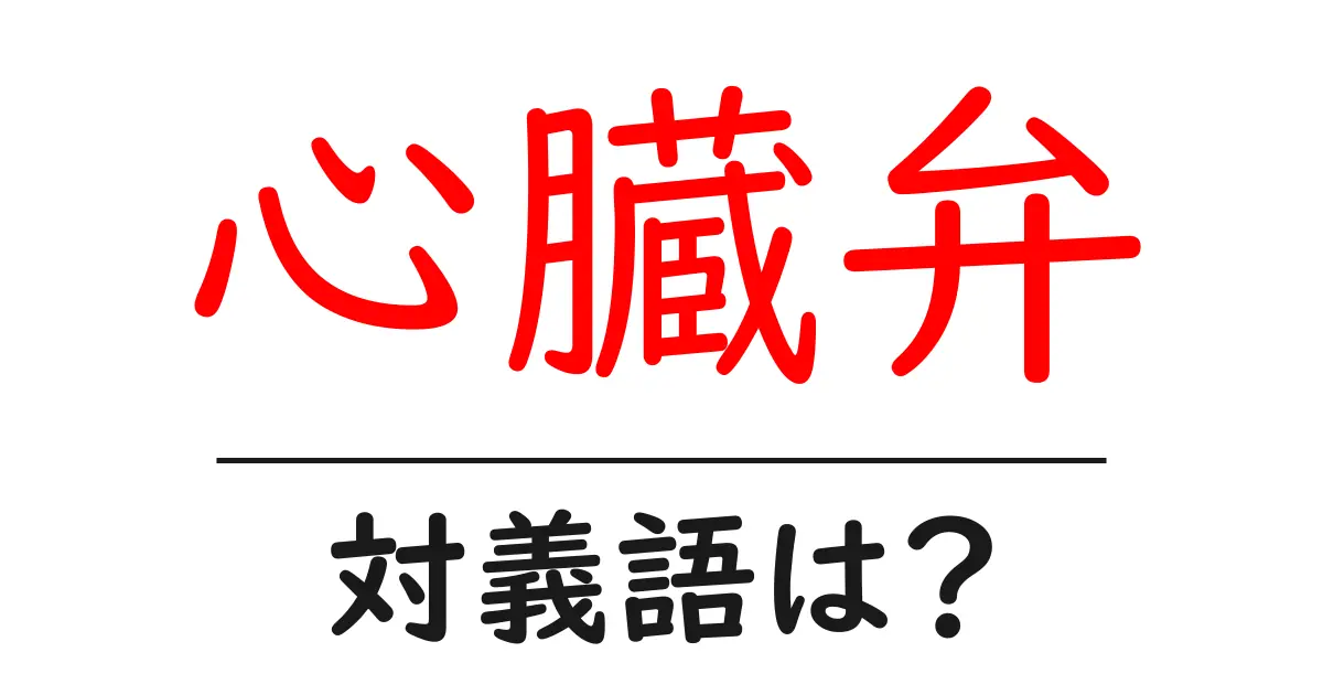 心臓弁の対義語・反対語を使用例を交えて分かりやすく解説!